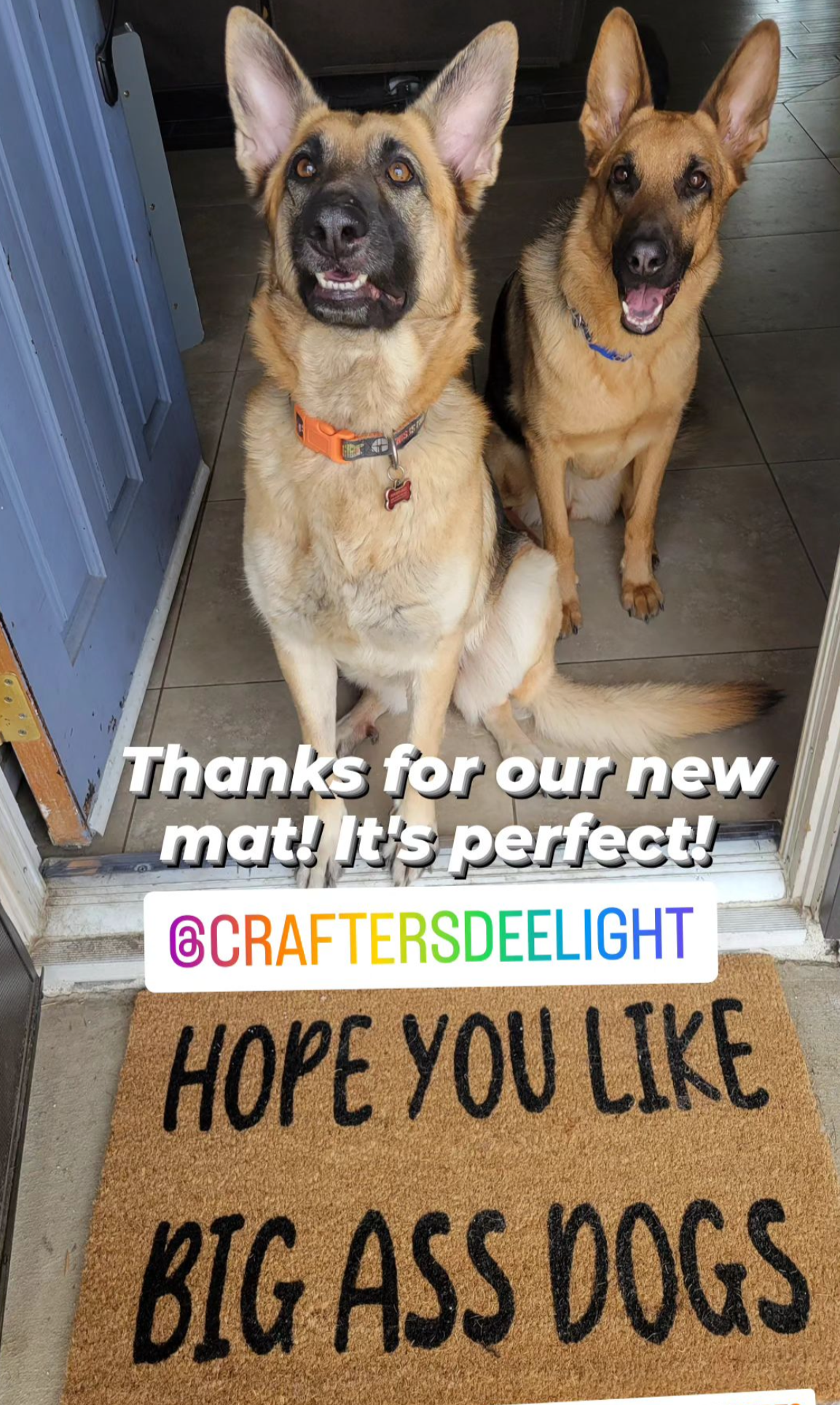 Hope you like - Pick your breed